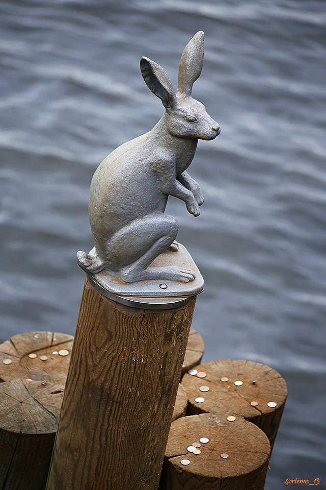 Заячий Остров Фото Зайцев – Telegraph