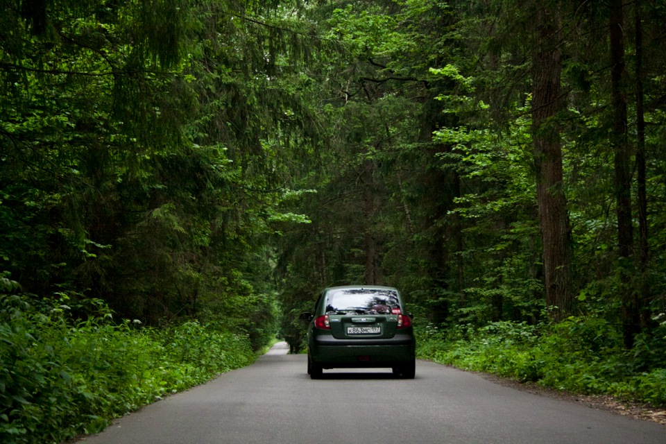 Фото машина в лесу