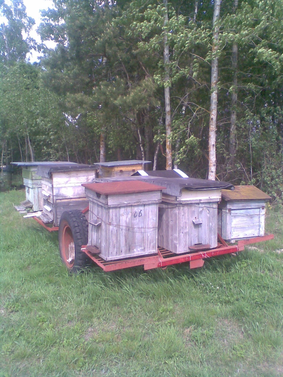 Купить прицеп для пчел. Пчелоприцеп на 20 ульев. Прицеп платформа на 20 ульев. Модуль платформа для ульев. Прицеп для уликов.