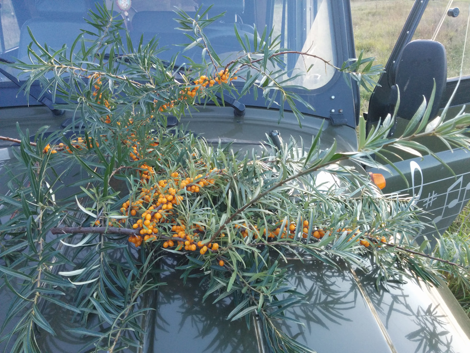 Фото в бортжурнале УАЗ 315195 Hunter