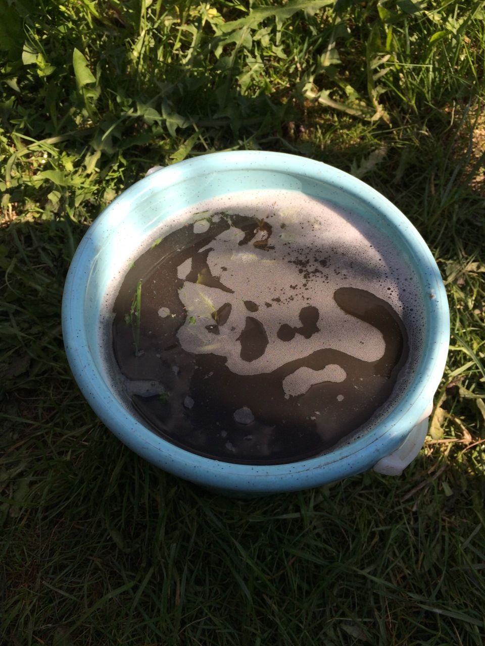 Чистка салона моющим пылесосом Karcher — BMW 5 series (E60), 2,5 л ...