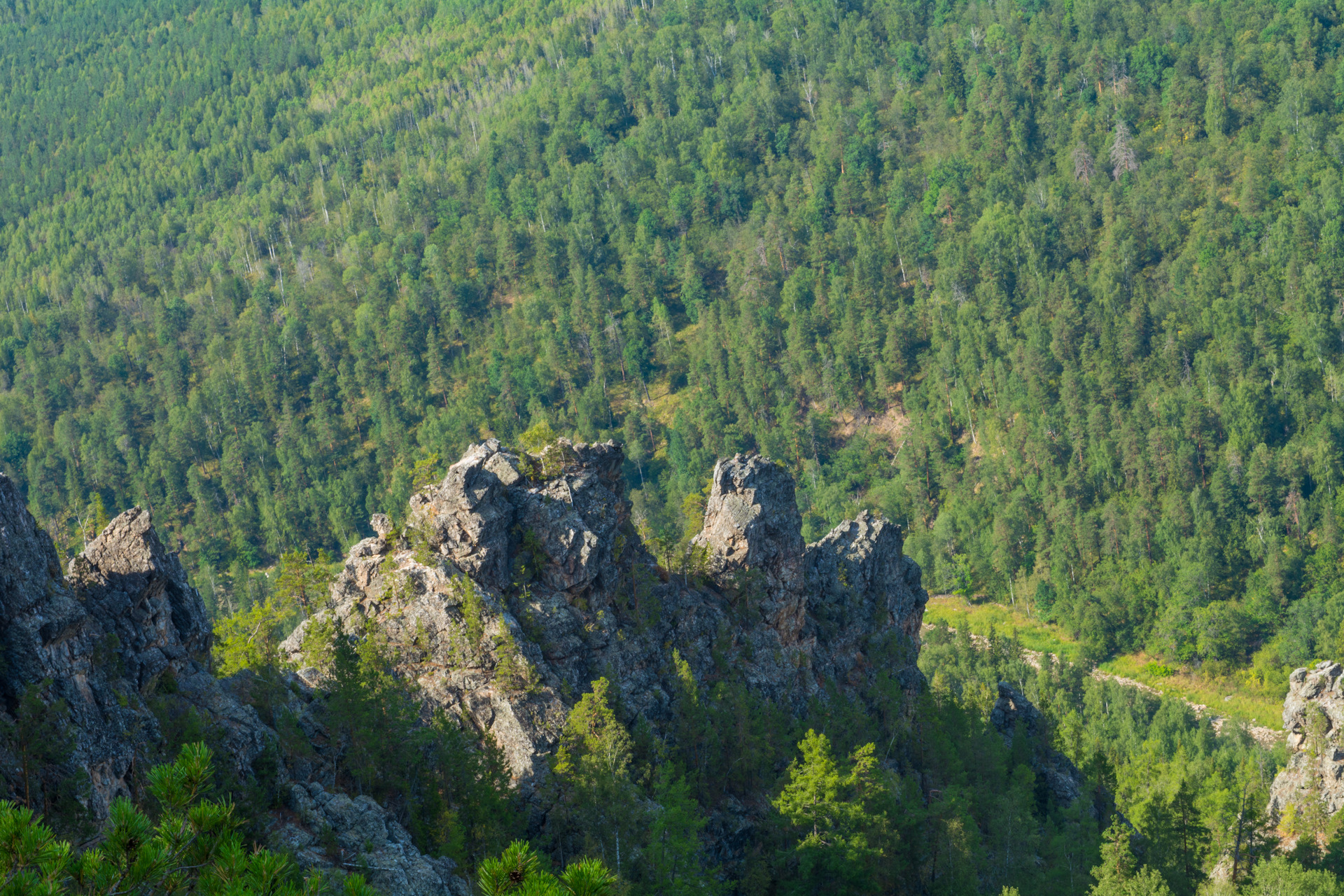 Зубы шурале фото айгир