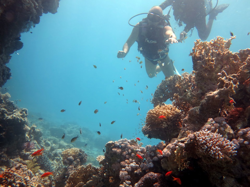 Красное море находится