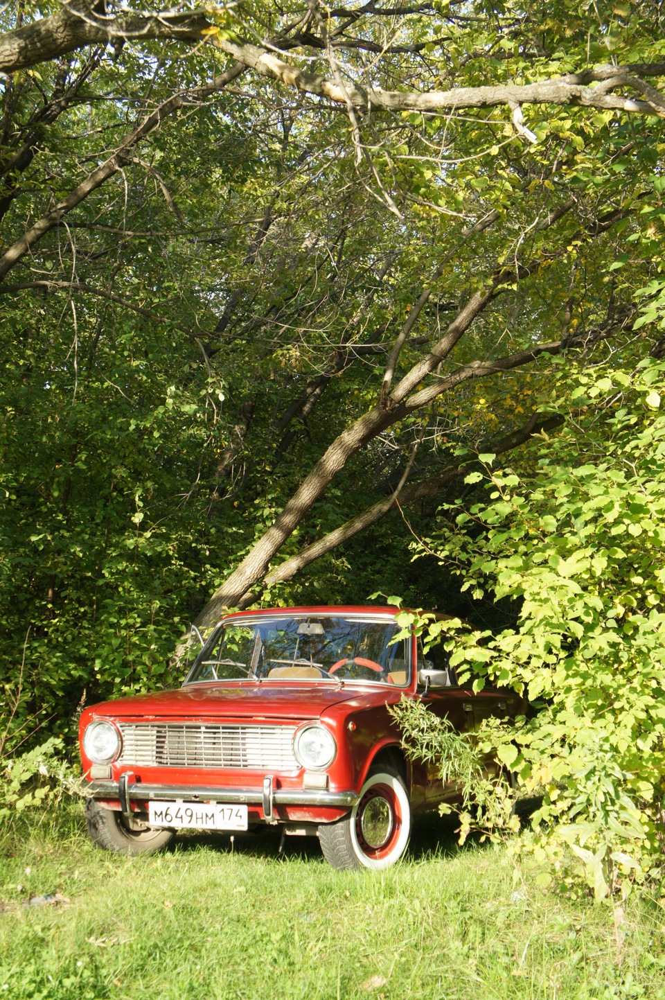 Берегите лес земляки — грибняки! — Lada 2101, 1,2 л, 1973 года | фотография  | DRIVE2