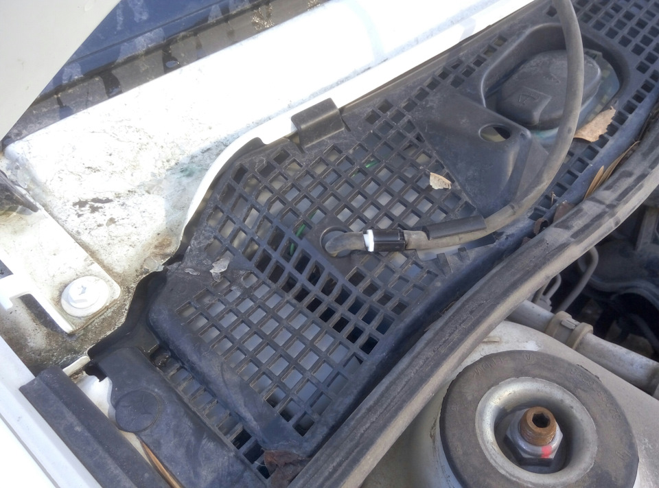 Фото в бортжурнале Lada Largus Фургон