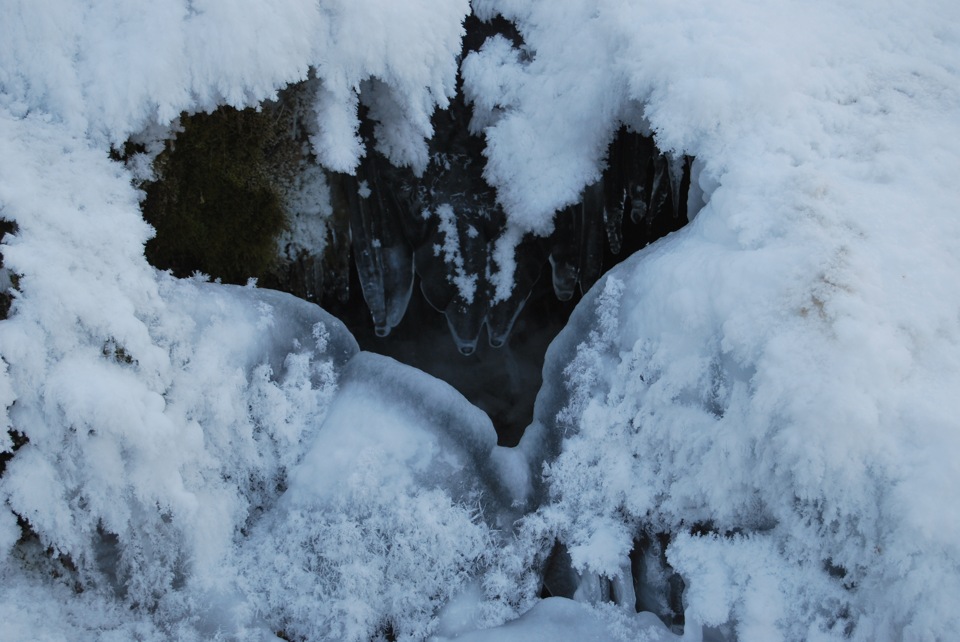 Фото в бортжурнале Nissan Terrano I