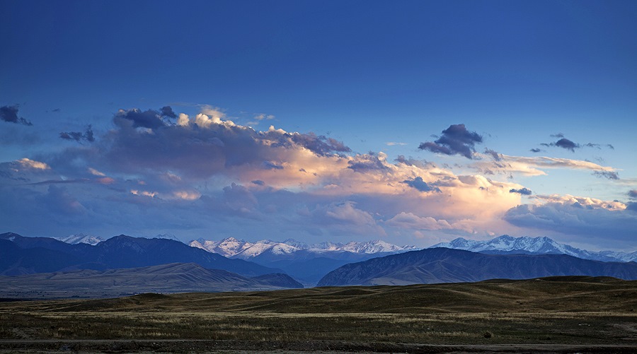 Фото в бортжурнале Infiniti QX70