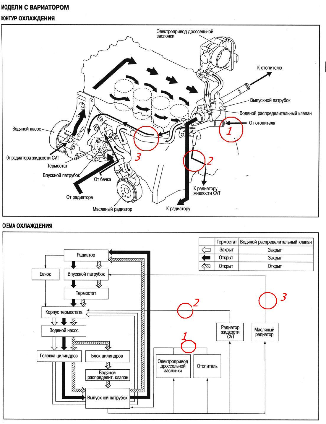 Схема охлаждения двигателя ниссан