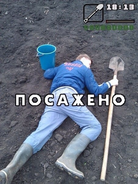 75 гдн в полку авто