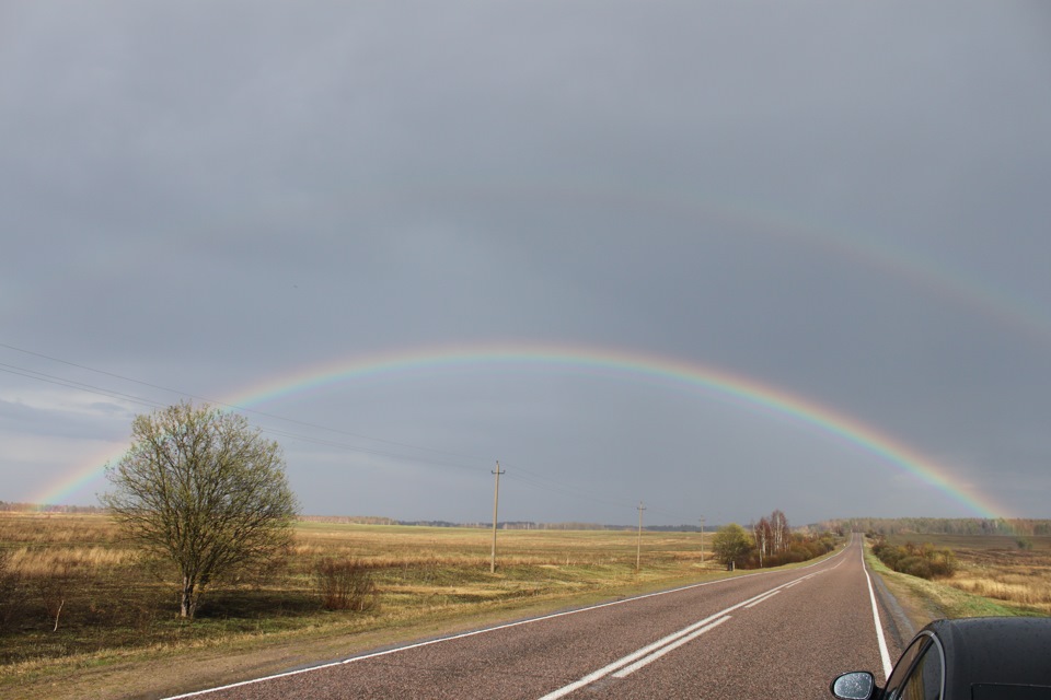 Дачная живность — Volkswagen Passat B6, 1,8 л, 2008 года | просто так ...