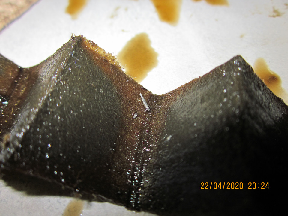 Стружка в складках фильтрующей сборки образца № 1. Видно невооружённым глазом — Lada Vesta SW (1G). Запчасти на фото: 22042020