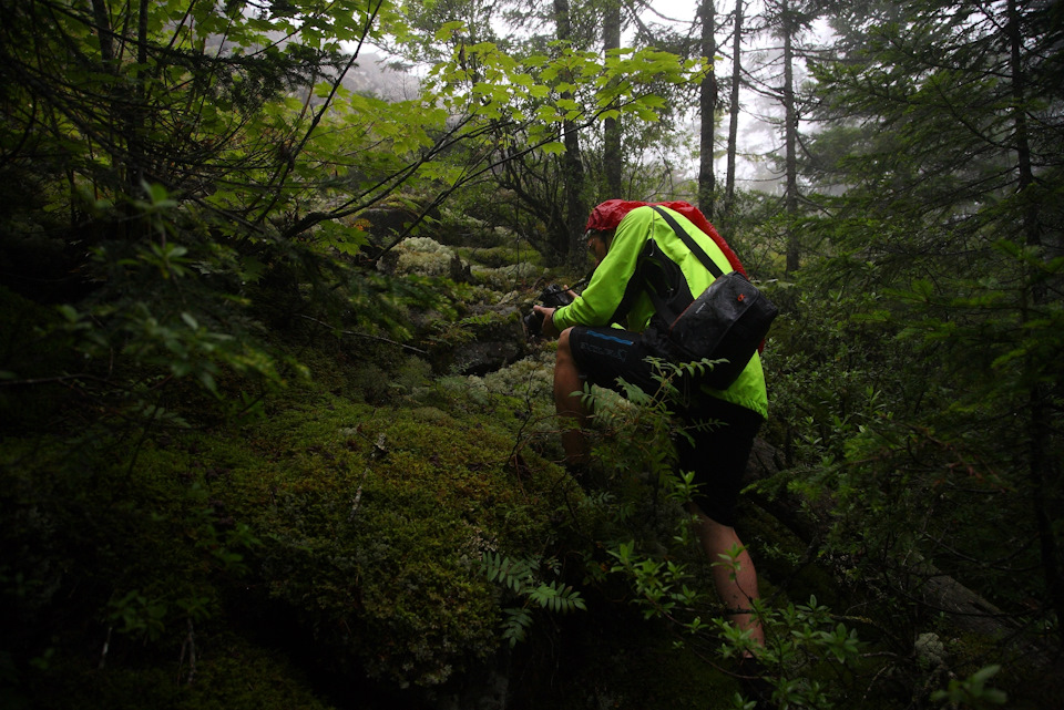 Фото в бортжурнале Toyota HiAce (H100)