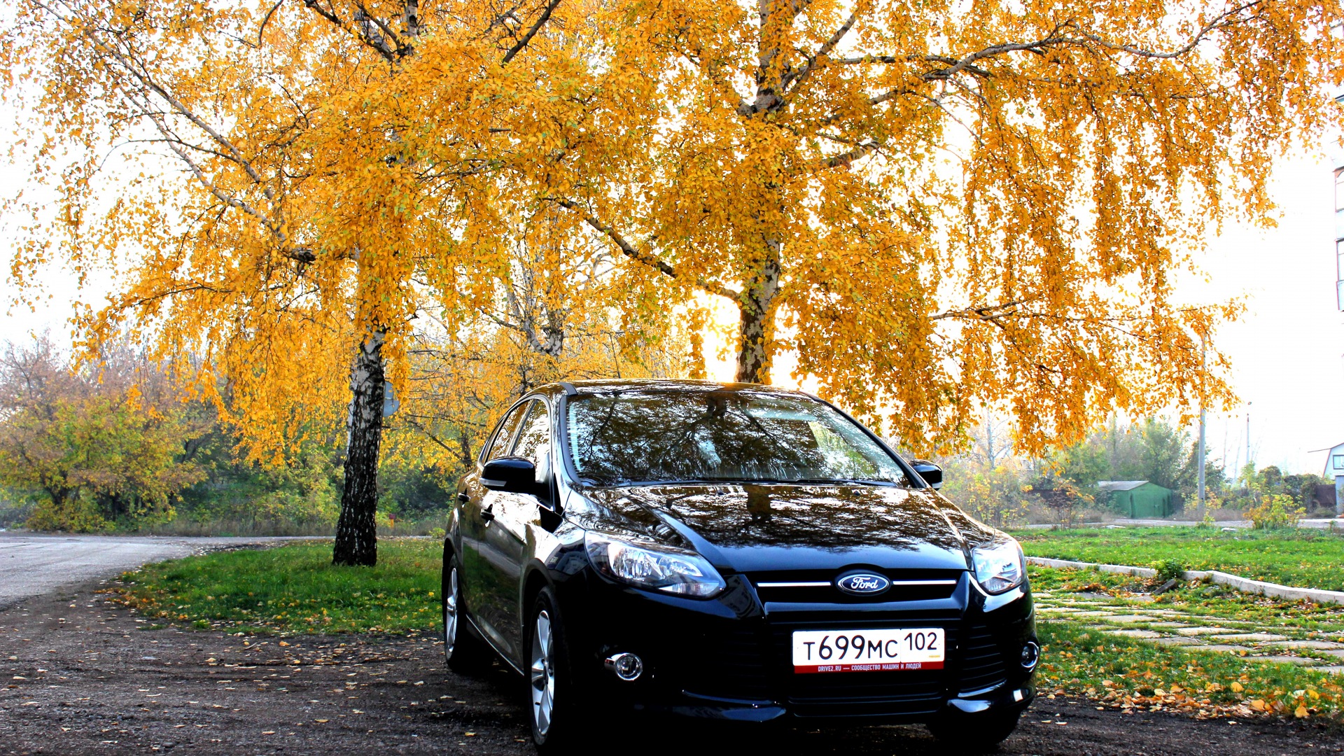 Ford Focus III Hatchback 1.6 бензиновый 2011 | Черное золото на DRIVE2