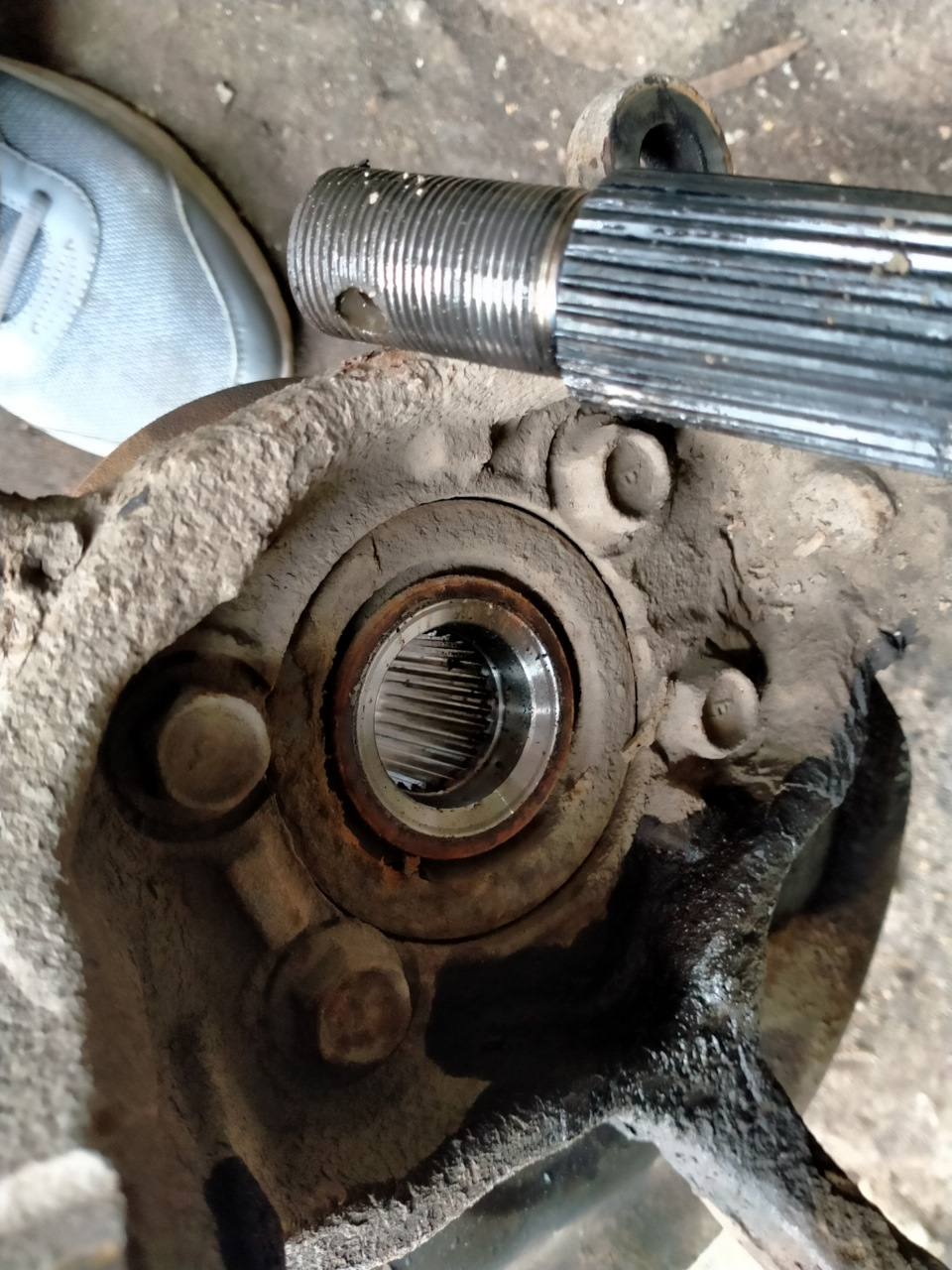 Фото в бортжурнале Nissan X-Trail II (t31)