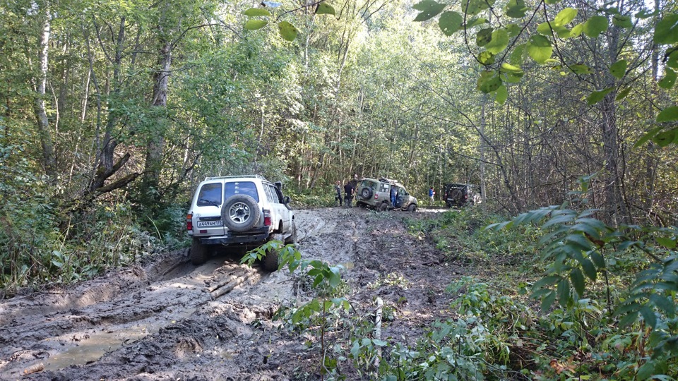 Фото в бортжурнале Toyota Land Cruiser 80