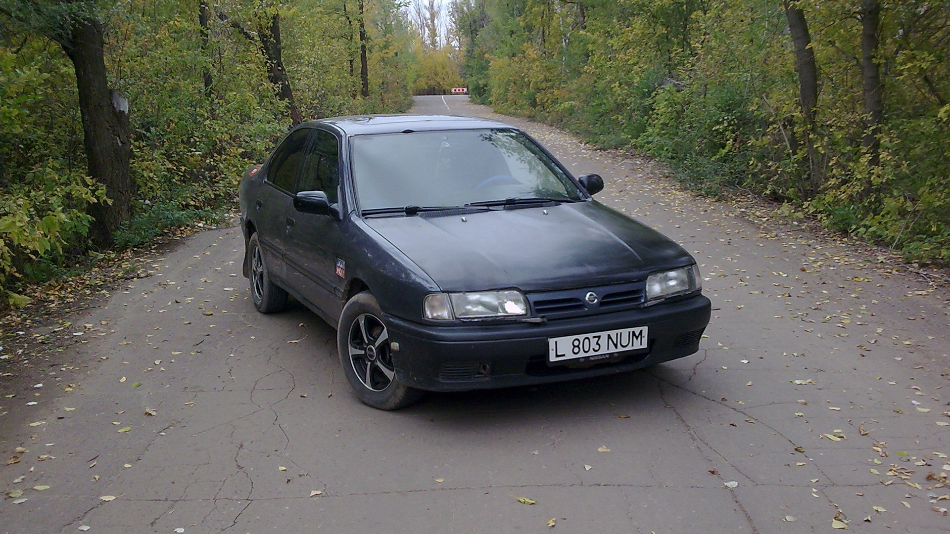 Nissan Primera (P10) 1.6 бензиновый 1993 | Sentinel на DRIVE2