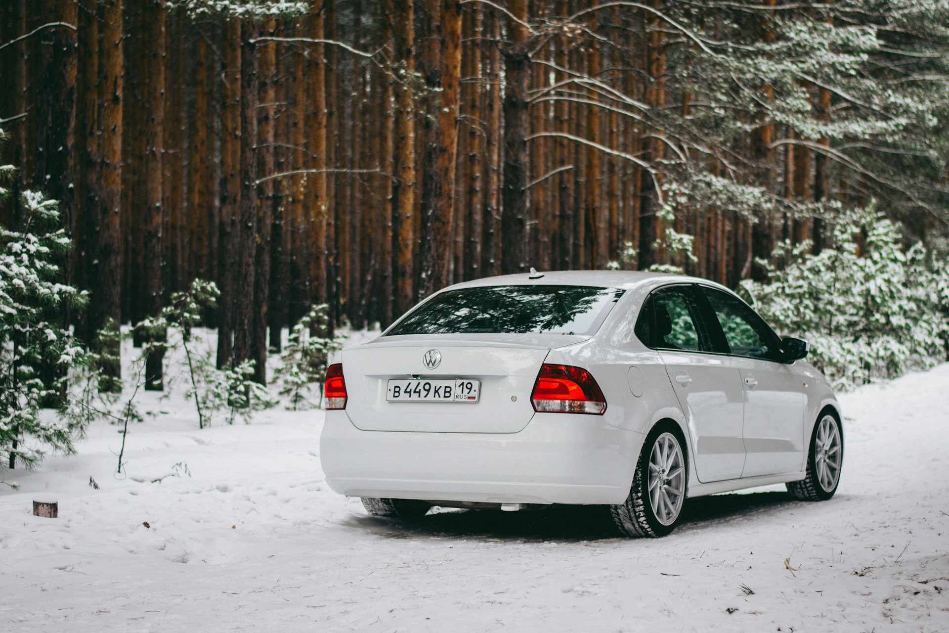 Polo sedan r16 зима