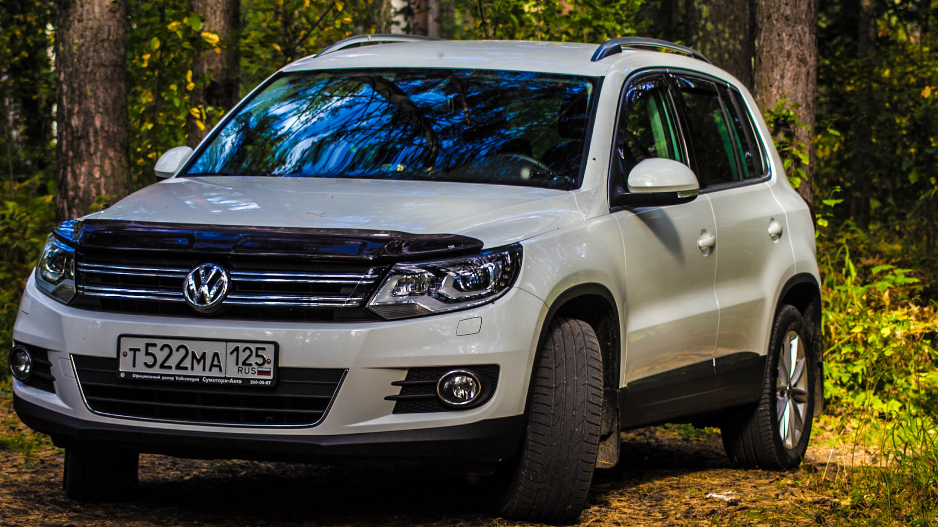 Volkswagen Tiguan (1G) 2.0 бензиновый 2013 | White Tiger на DRIVE2