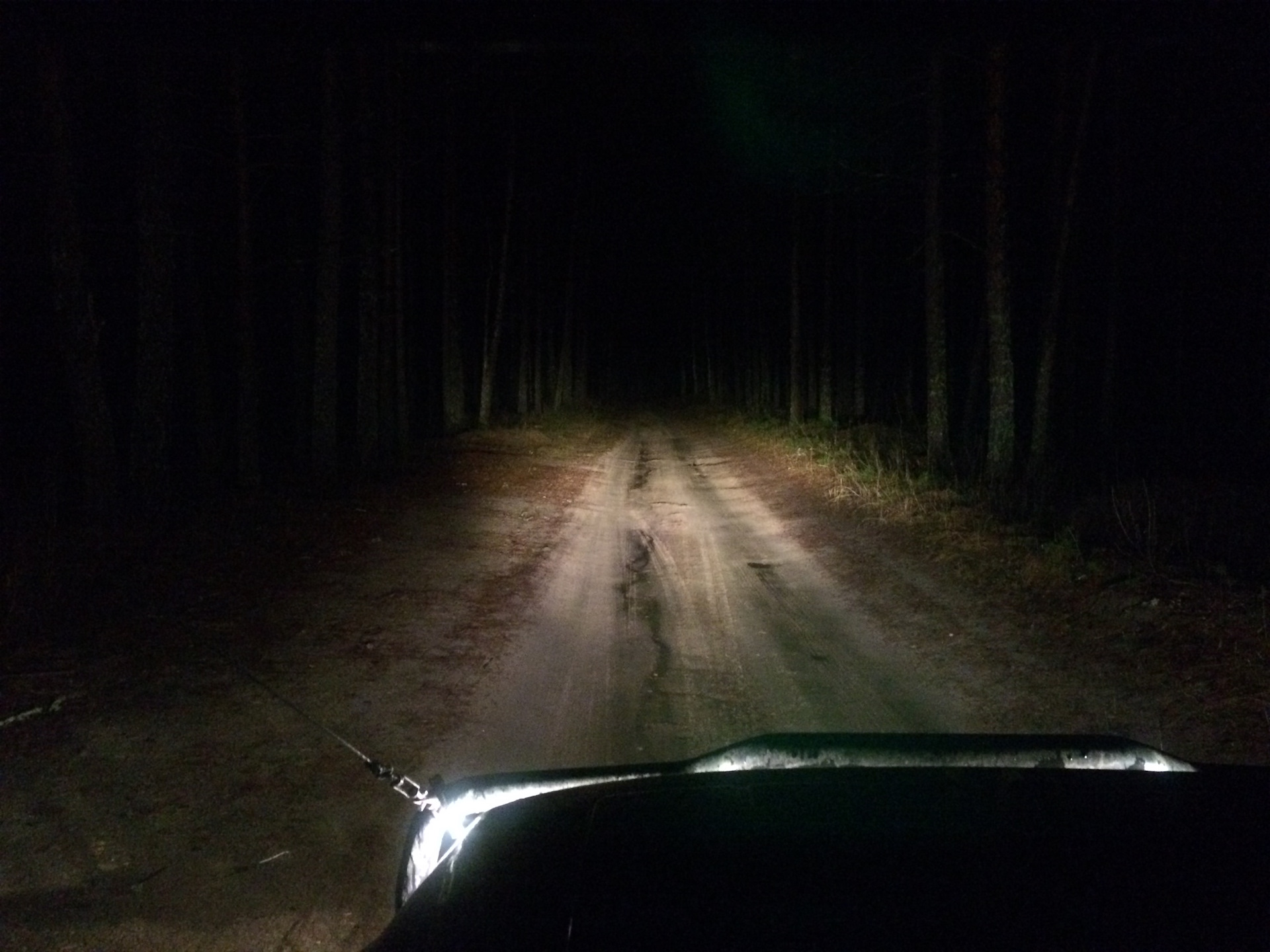 Песня лизогуба и давида фары фары. Дорога ночью. Свет фар на дороге. Ночная дорога фары. Фары в лесу.
