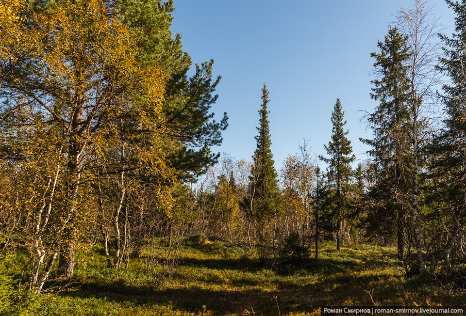 Фото в бортжурнале Chevrolet Niva (1G)