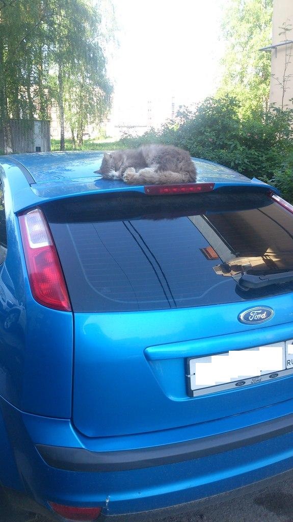 спойлер от Испанца. ценим всем двором! ) — Ford Focus II Hatchback, 1