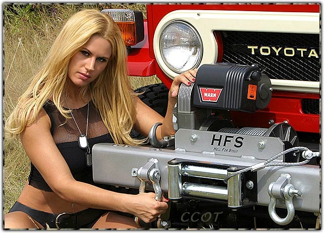 Фото в бортжурнале Toyota Land Cruiser 40