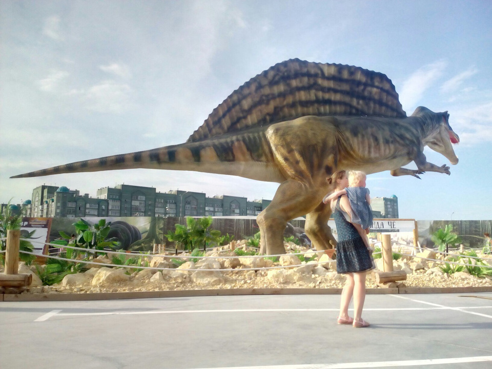 Фото в бортжурнале Renault Symbol