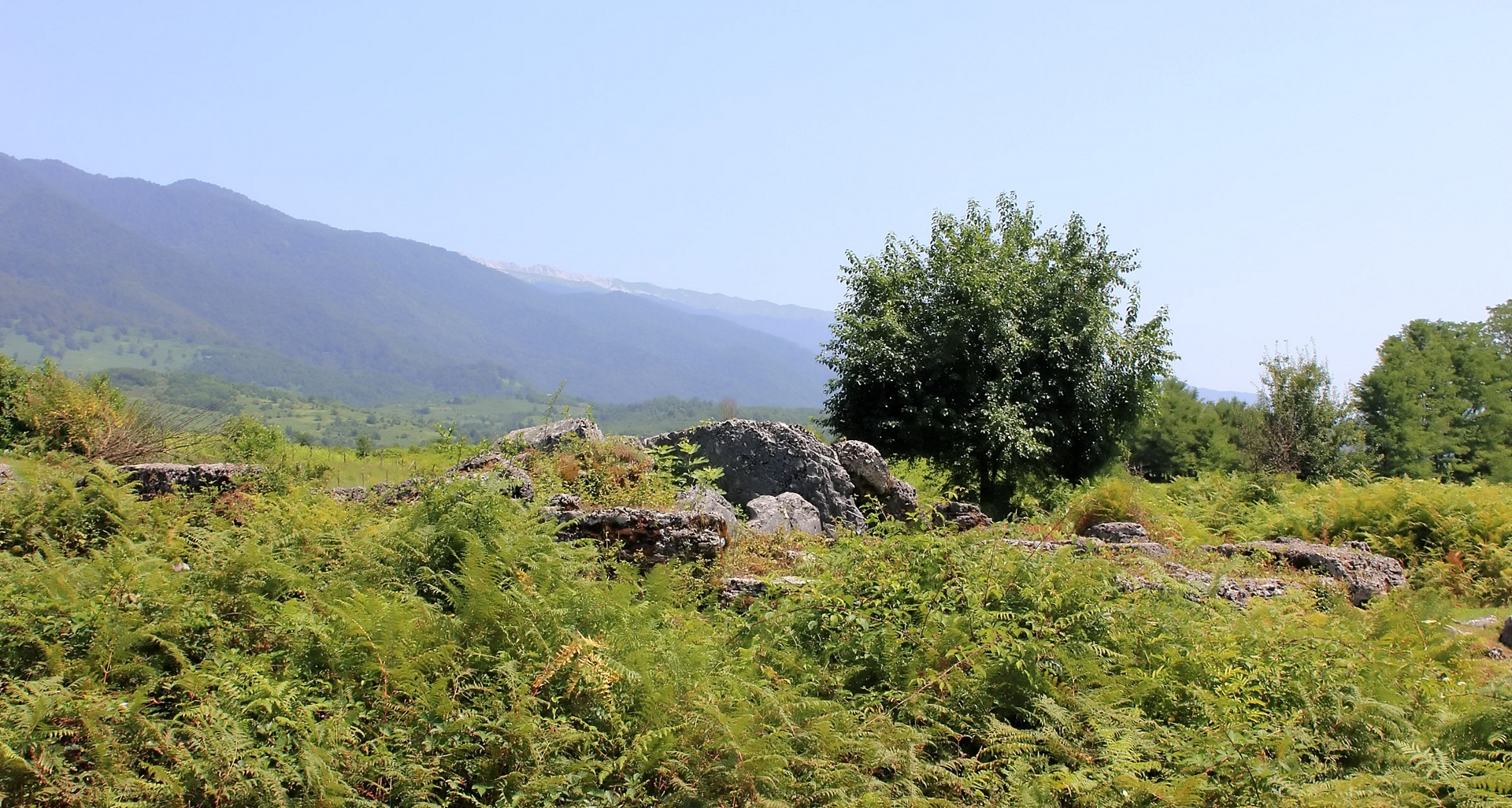 Абхазия село приморское фото