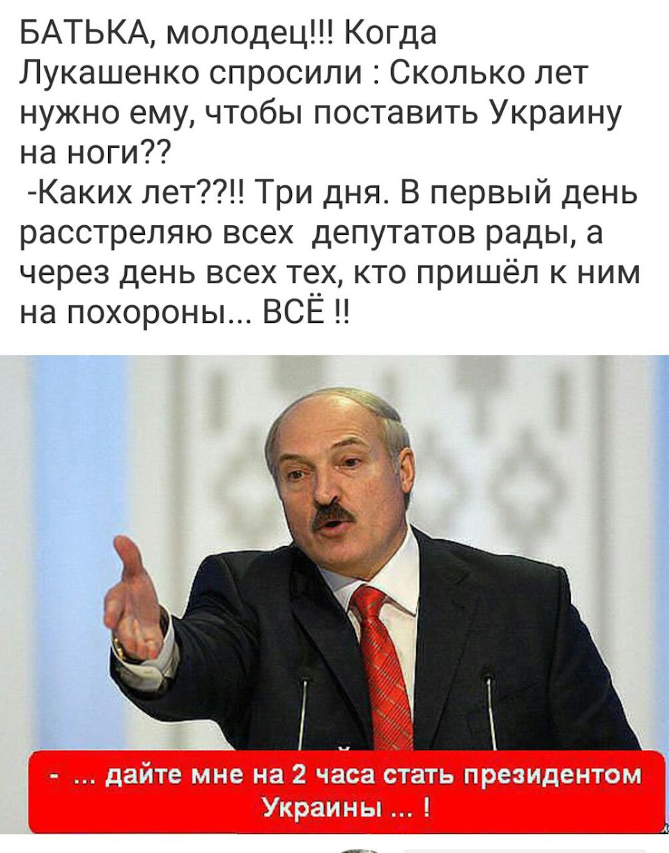 Смешные картинки с лукашенко