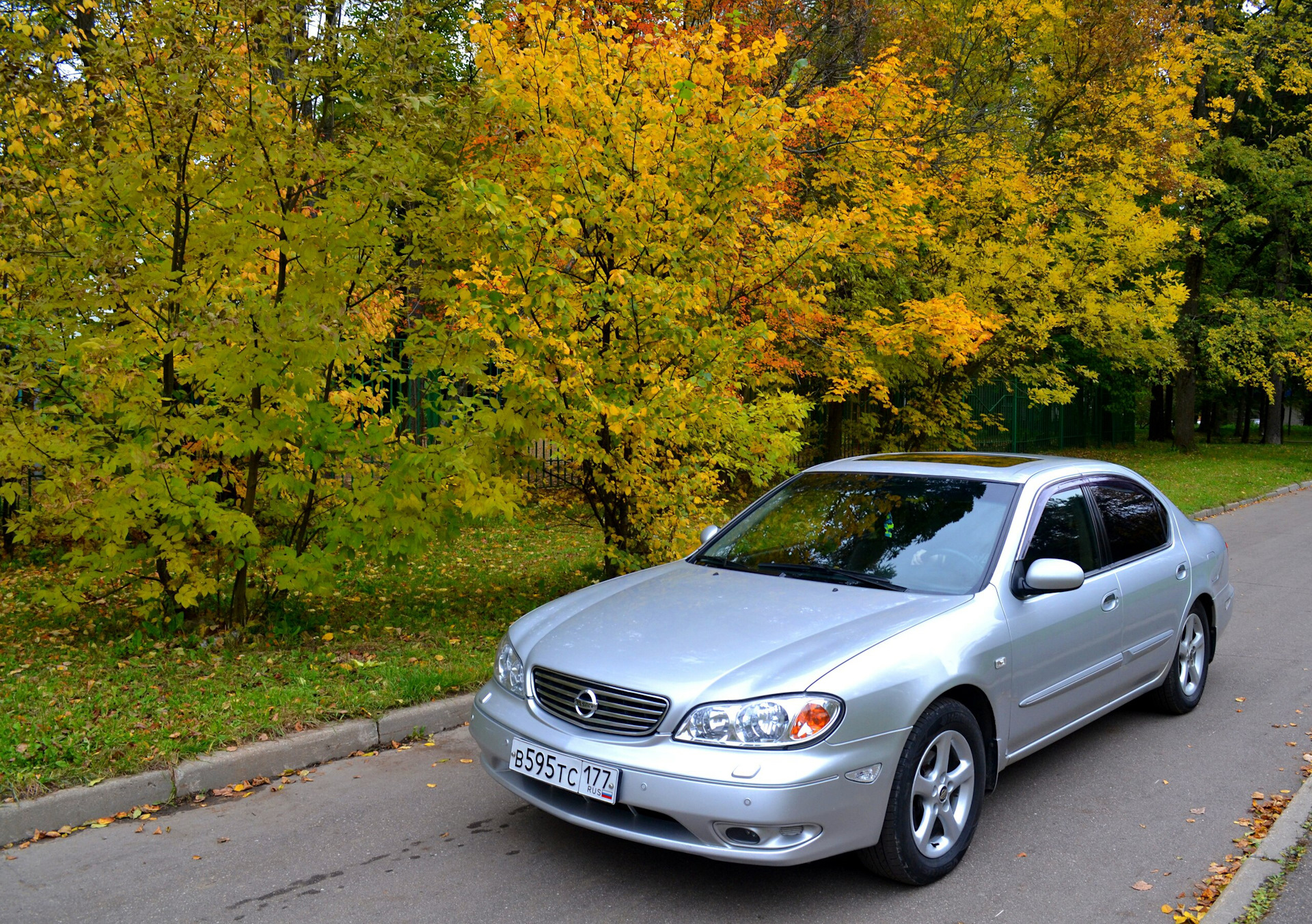 Nissan maxima QX