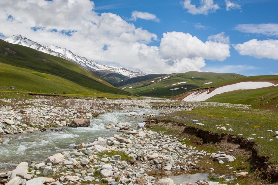 Фото в бортжурнале Mercedes-Benz G-Class (W460/W461)