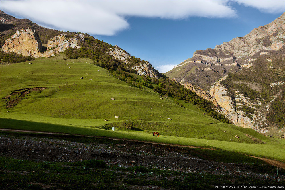 Флай чегем фото