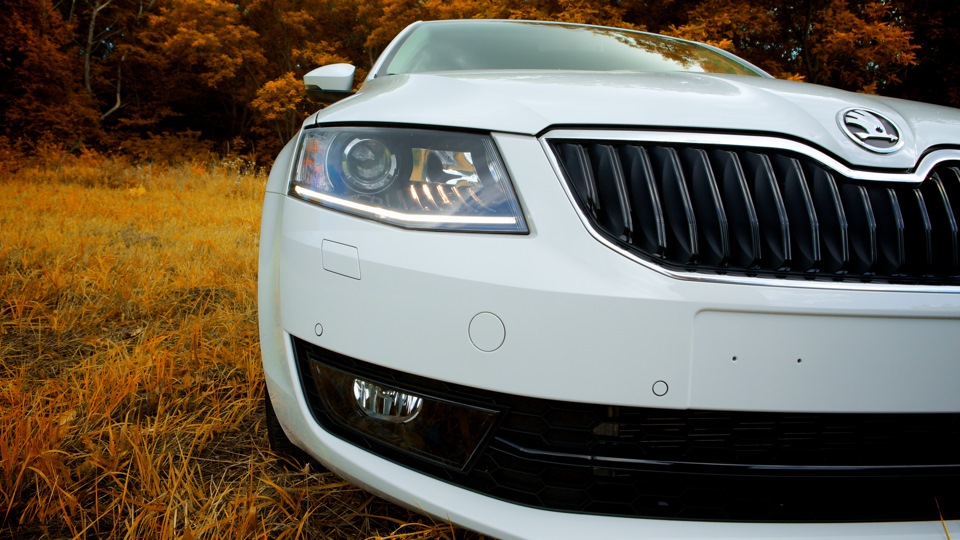 Skoda octavia a7 drive2