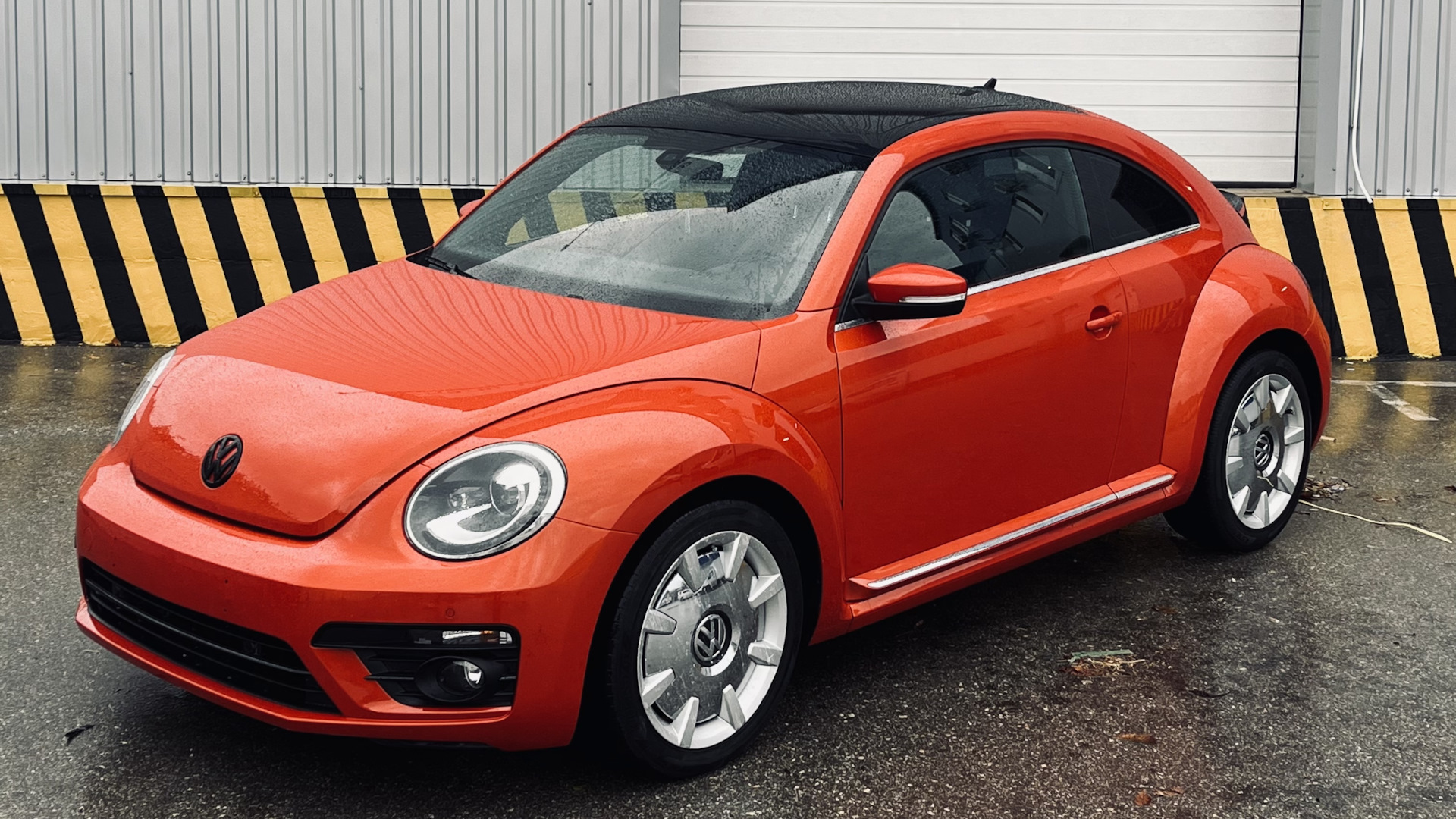 Volkswagen Beetle a5 Р”РўРџ