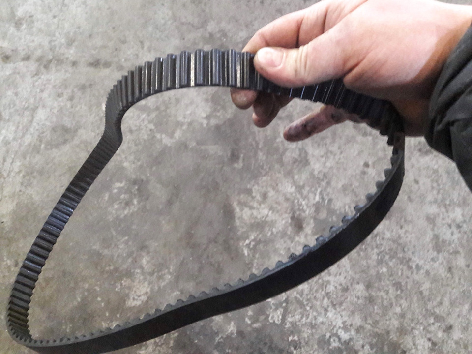 Оригинальный ремень с пробегом 90 т/км выглядит живее всех живых ) — Ford Focus Hatchback III