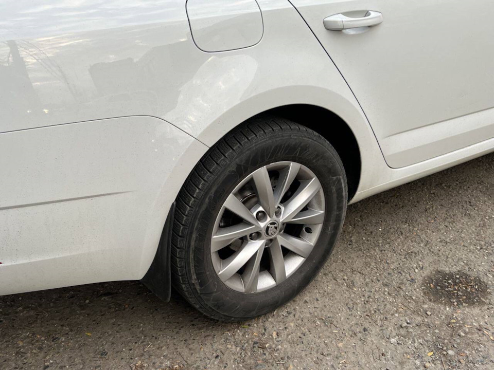 Новая зимняя резина Triangle PL01 205/55 R16 для Skoda Octavia A7 FL ...