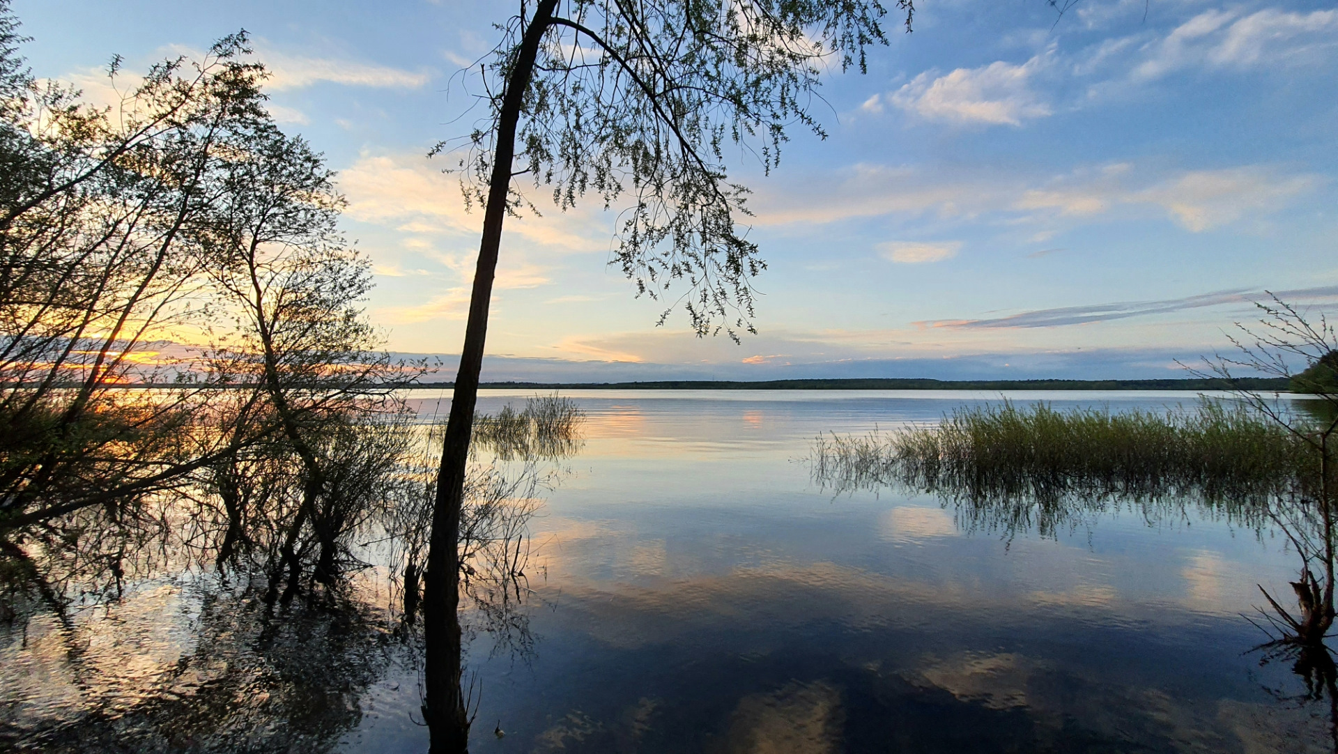 порно малолетнею негритянку в анал фото 62