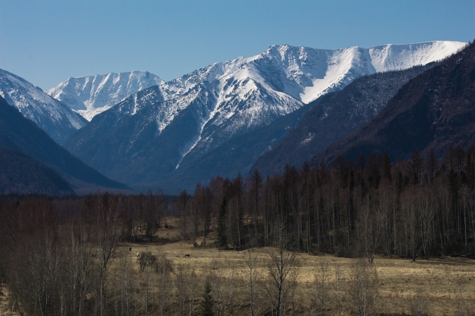 Алтайская 6 фото Алтай. Уймонская долина в апреле 2015 - Сообщество "Драйвер-Путешественник" на D