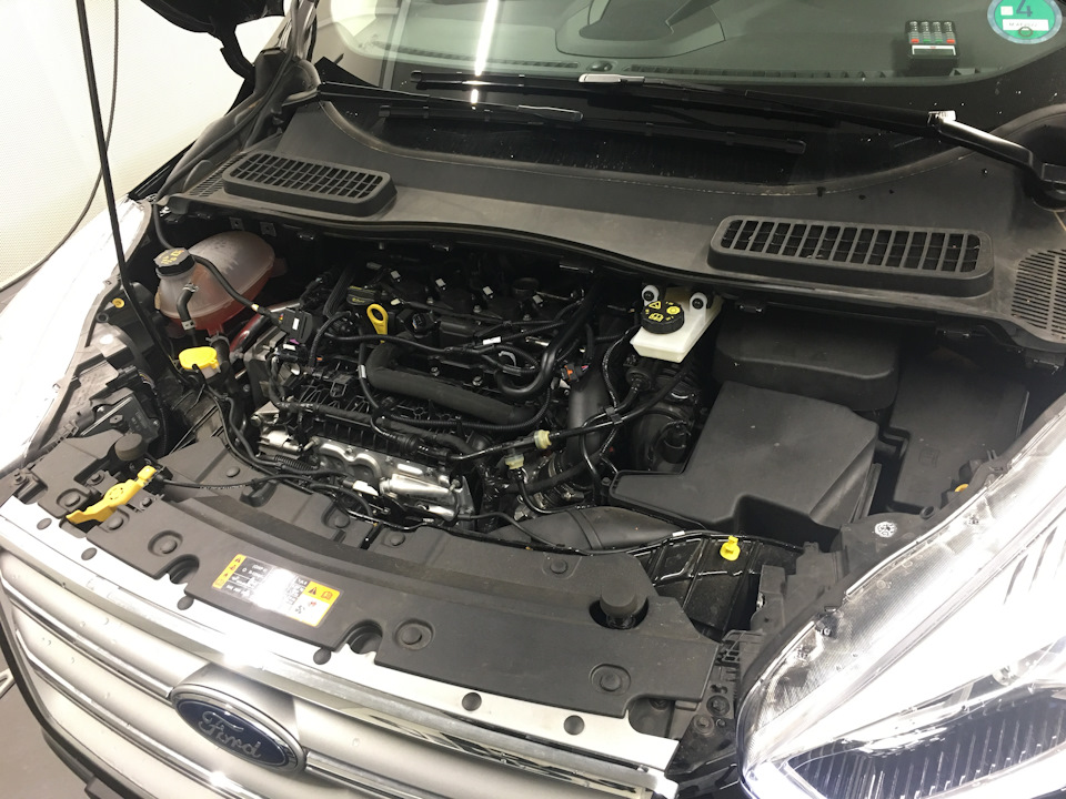 Предохранители форд куга 1.6 экобуст Ford Kuga`13 1.5Ecoboost 110kW Euro6 - RaceChip-Russia на DRIVE2