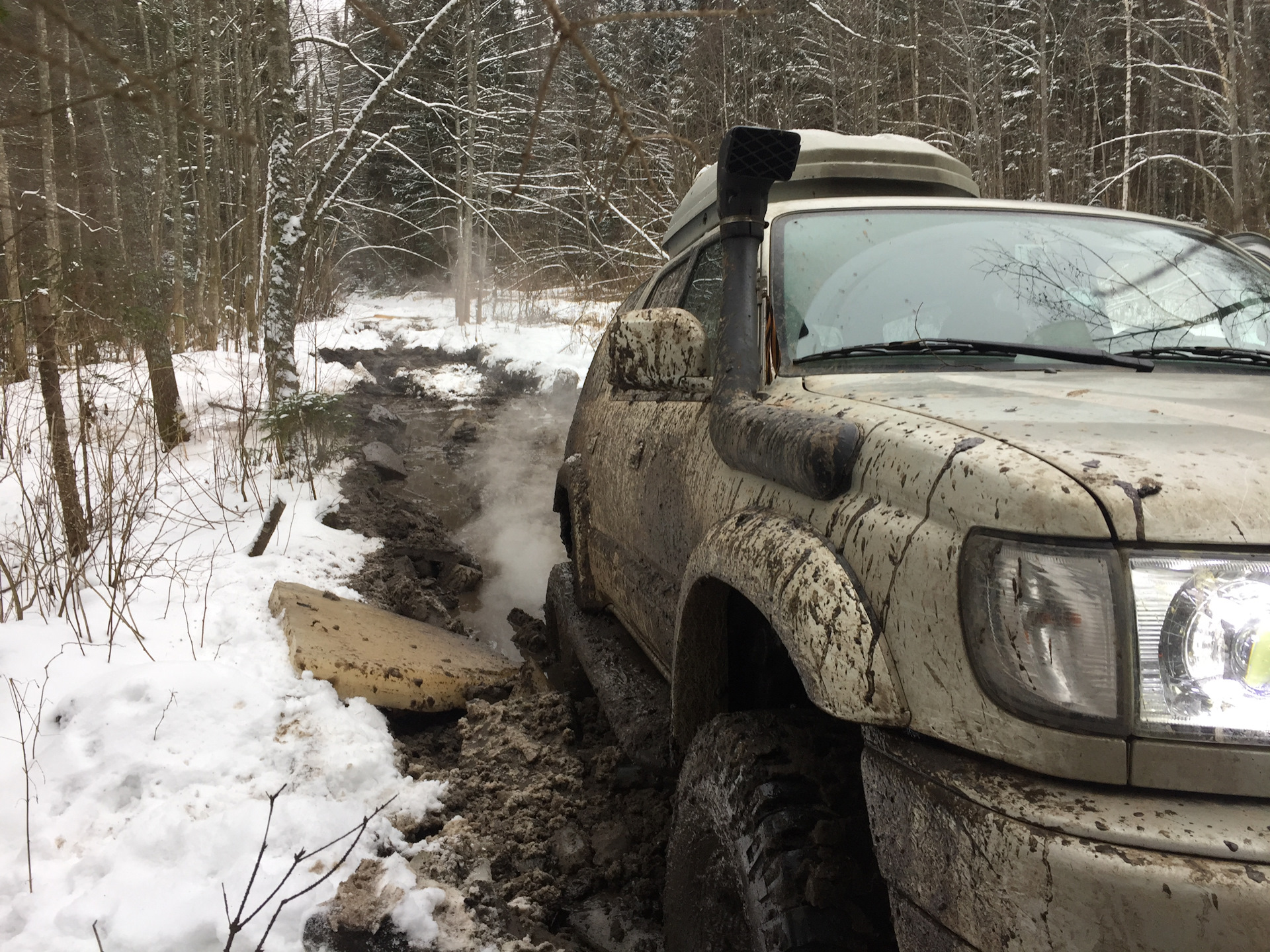 Стрельчиха. Альтернативный путь. Слабоумие и отвага. — Toyota 4Runner (III)  (185), 3,4 л, 2000 года | покатушки | DRIVE2