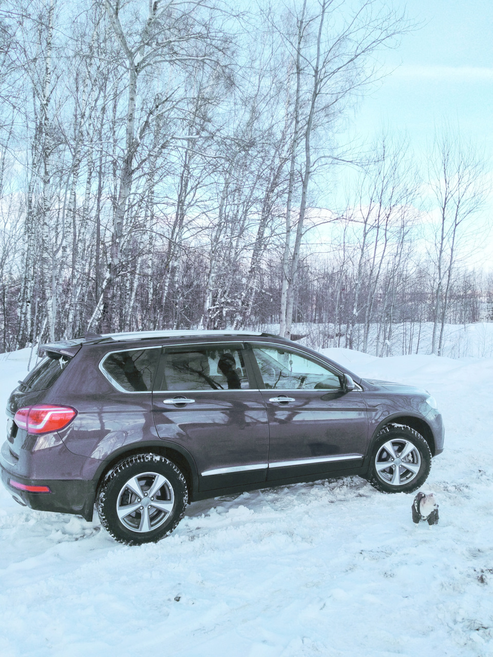 На Масленицу во Владимир и Суздаль на два дня — Haval H6 (1G), 1,5 л, 2019  года | путешествие | DRIVE2