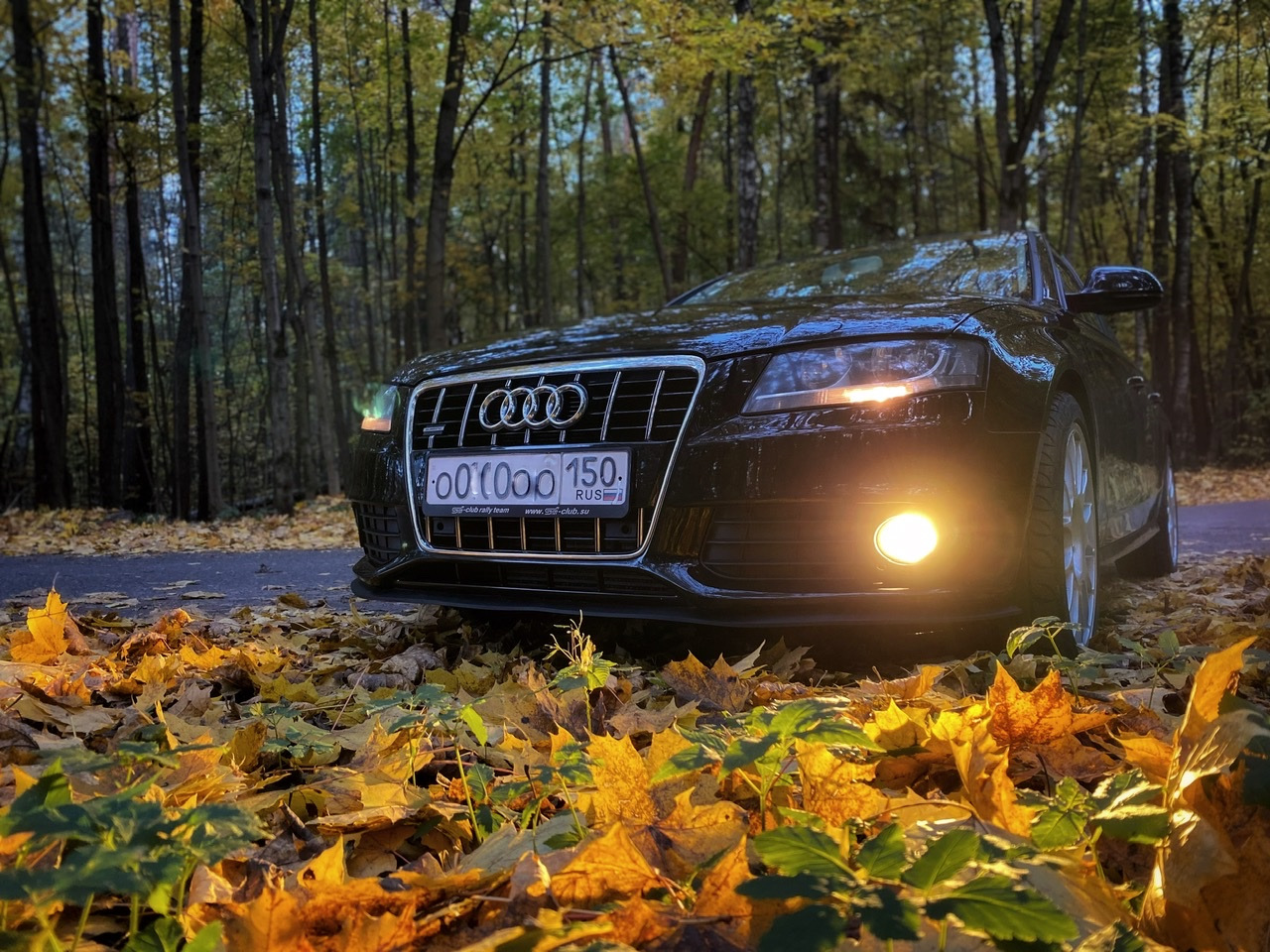 Осень Audi а8