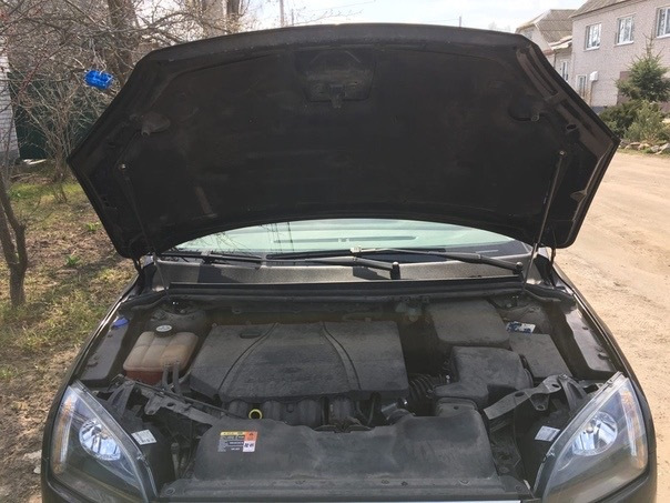 Газовые упоры капота Ford Focus 2 на Ford Focus Hatchback II, Ford ...