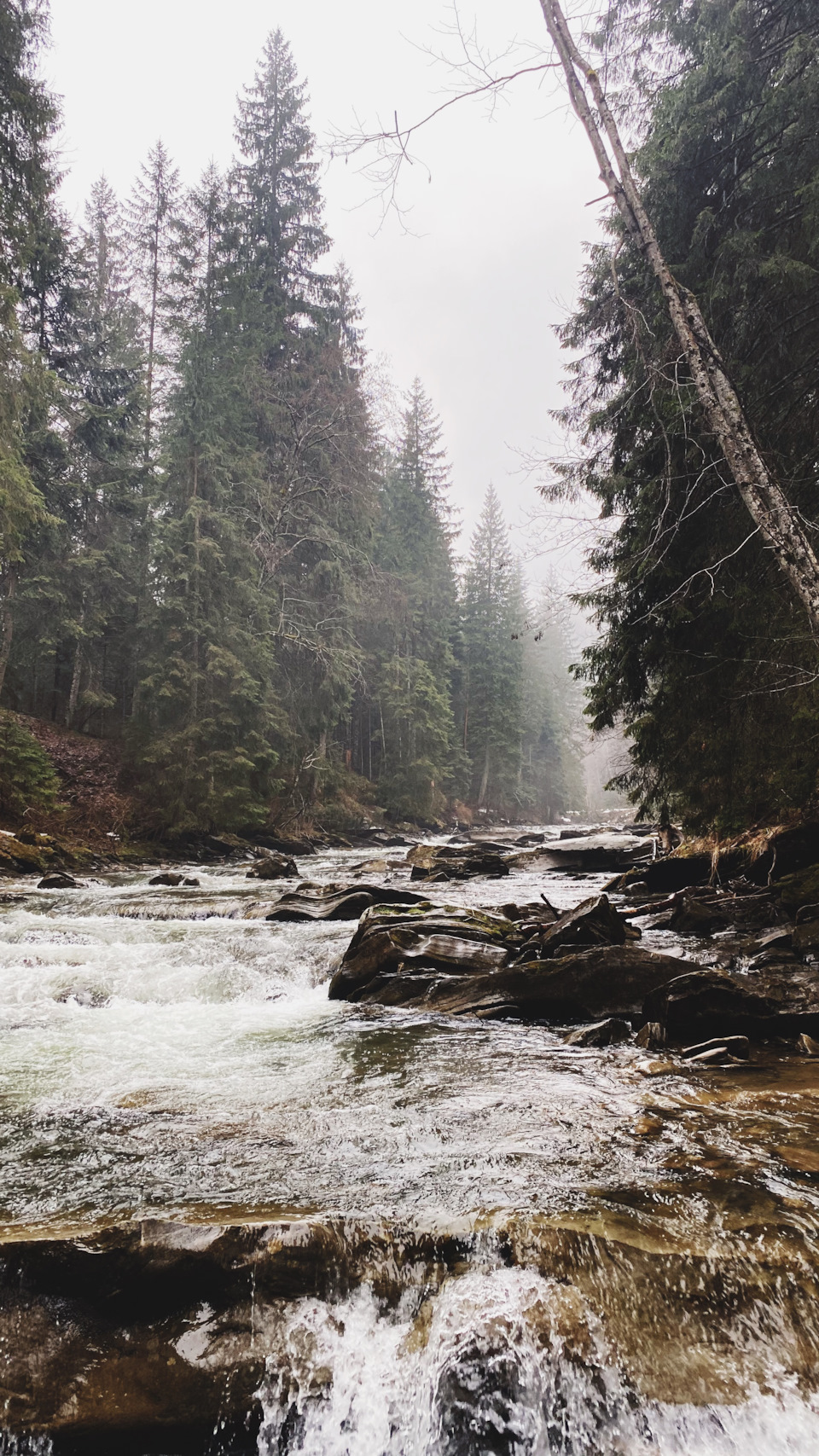 Какие подшипники стоят на генераторе газель (87 фото) - Lada Granta Club