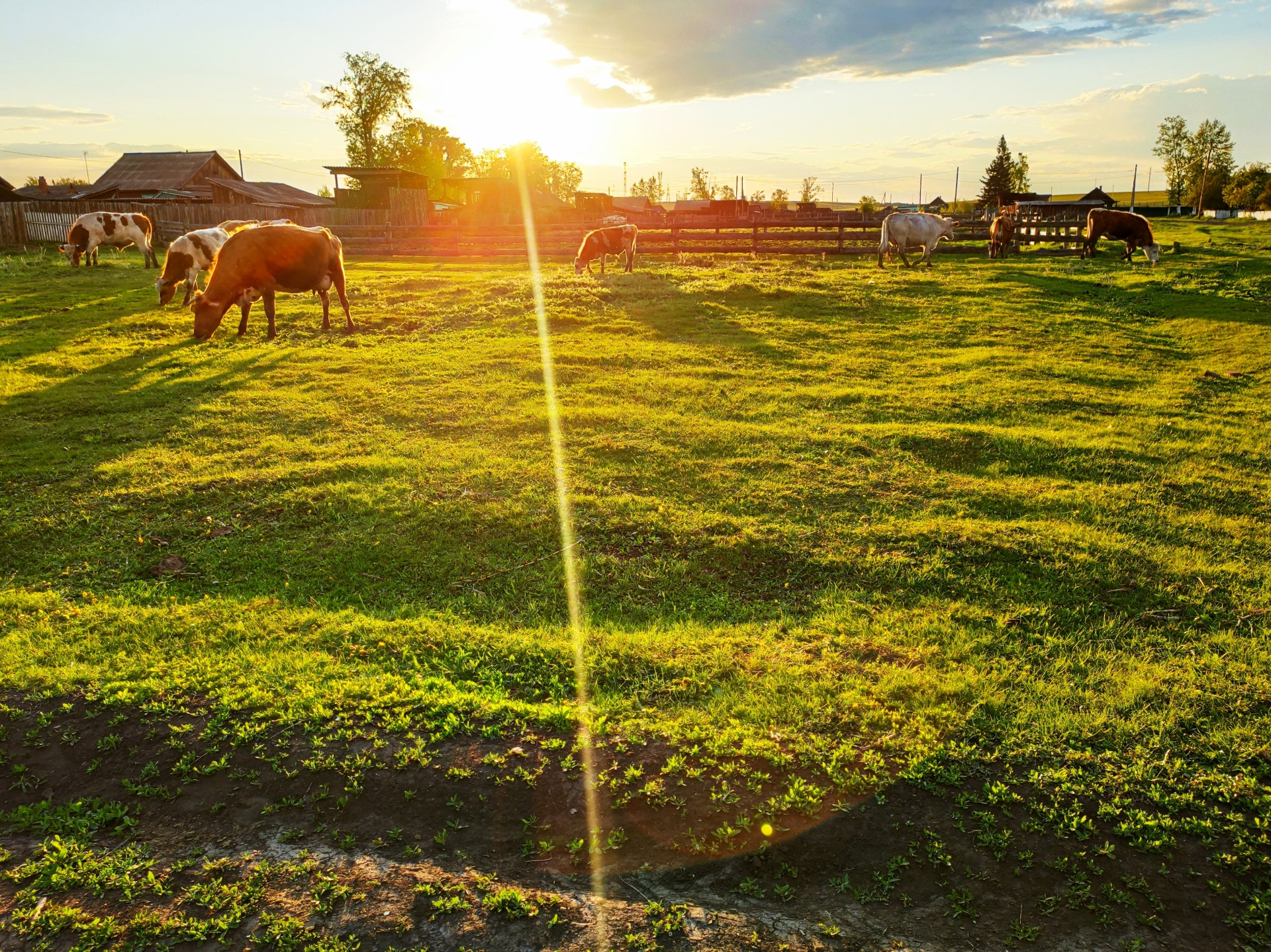 Май 2020, поездка в деревню — Ford Escape (2G), 2,5 л, 2010 года ...