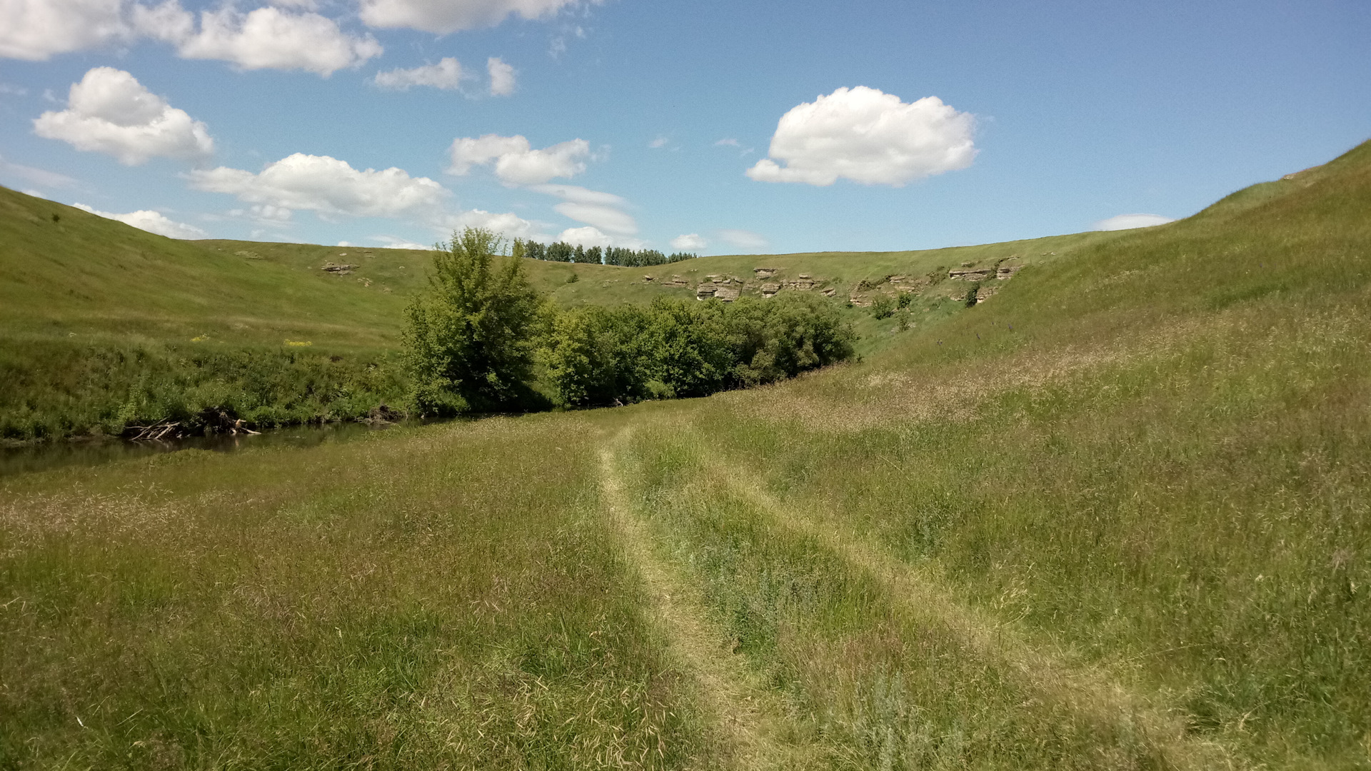 парк аргамач липецкая