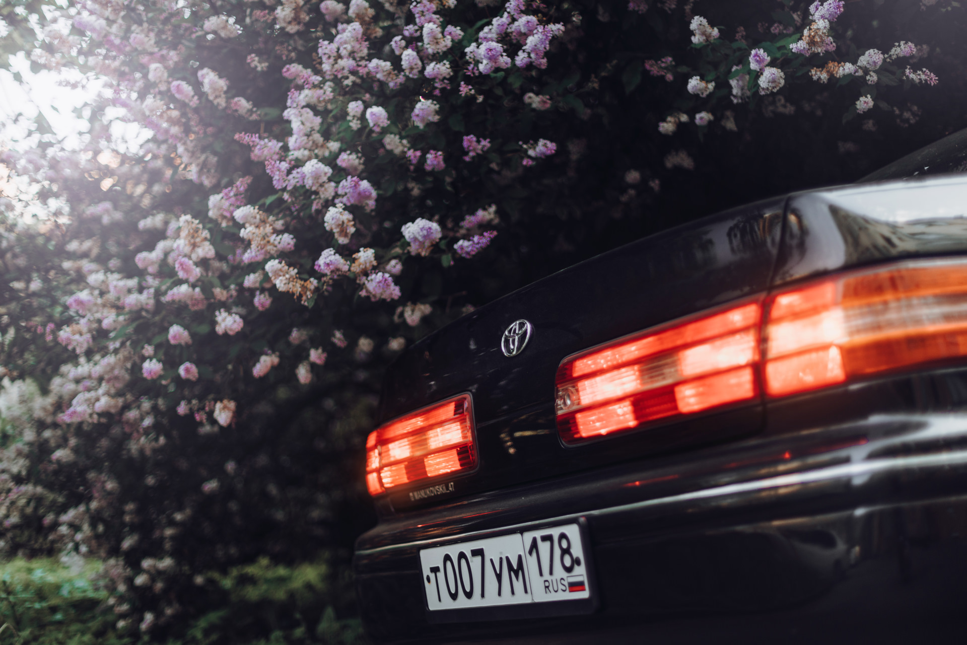 Toyota Mark 2 Sakura