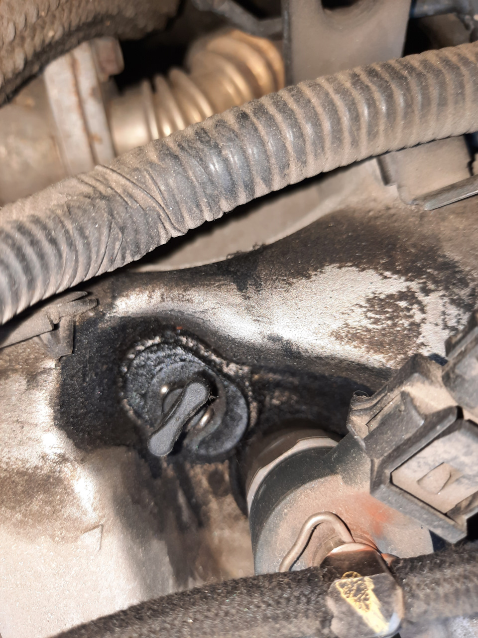 Протер-прчистил, наблюдаю — KIA Sportage (2G)