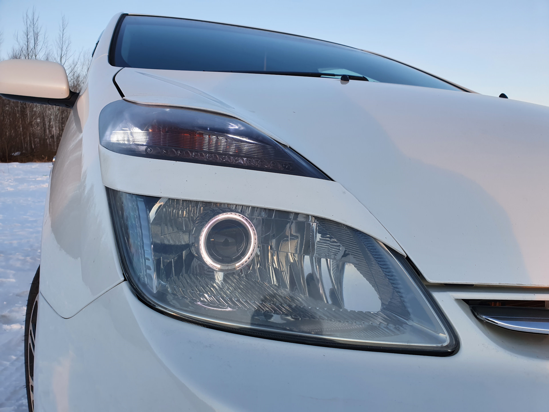 Bi-Xenon Stile — Toyota Prius (20), 1,5 л, 2009 года | тюнинг | DRIVE2