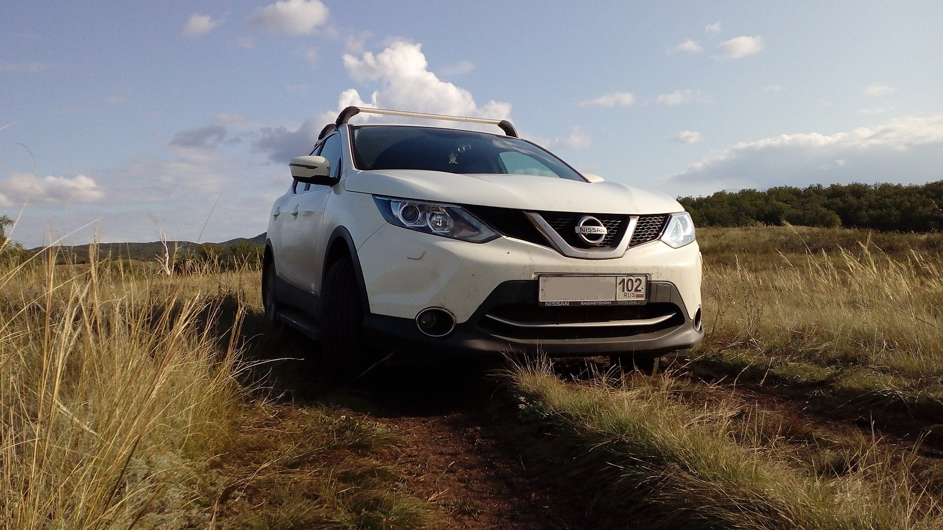 Nissan Qashqai (2G) 2.0 бензиновый 2015 | на DRIVE2